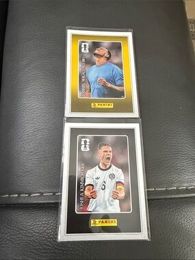 Panini FIFA World Cup Soccer Cards